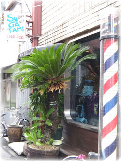 shop2